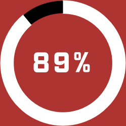 89 Percent Donut Chart