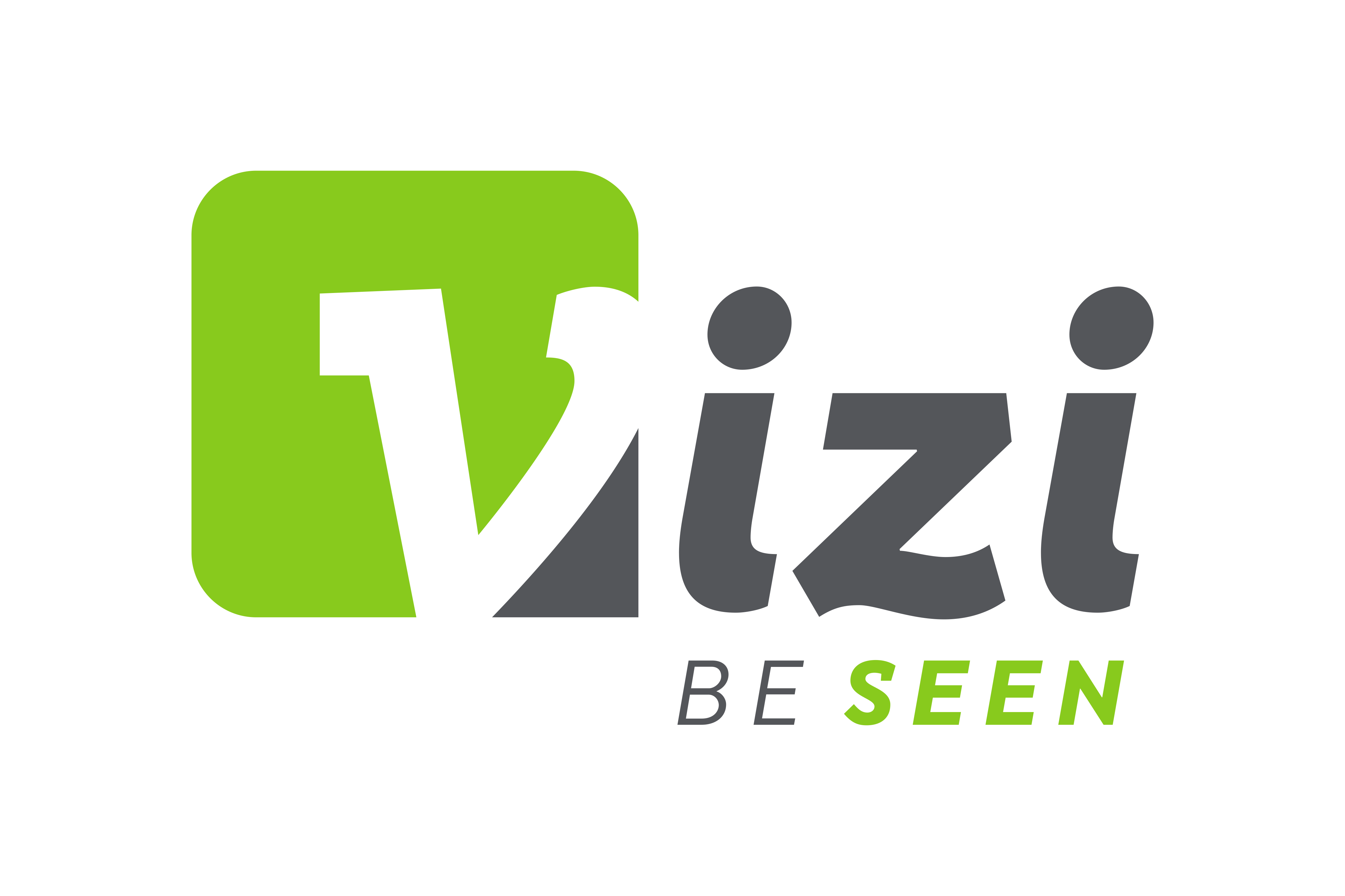Vizi Logo Final RGB