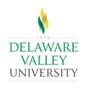 Del Val University logo 1