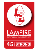 500Lampire 2
