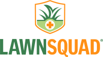 LSQ S LOGO PNG 1 1