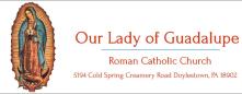 500 Our Lady Guadalupe Logo2