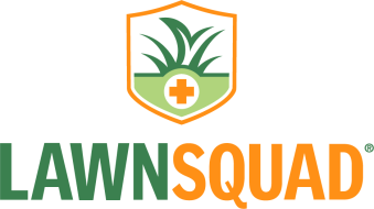 LSQ S LOGO PNG 1 5