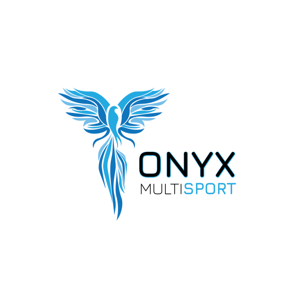 onyx logo sn1 final 01 1